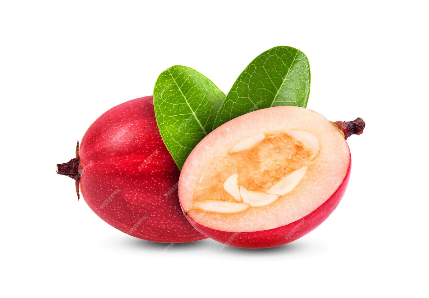 ต้านอนุมูลอิสระ,มะม่วงหาวมะนาวโห่,ป้องกันหวัด